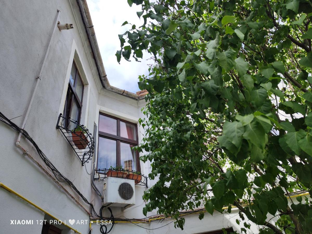 Apartament Buon Gusto,Near Main Square And Liar Bridge,Historical Side Of City Center Sibiu Buitenkant foto