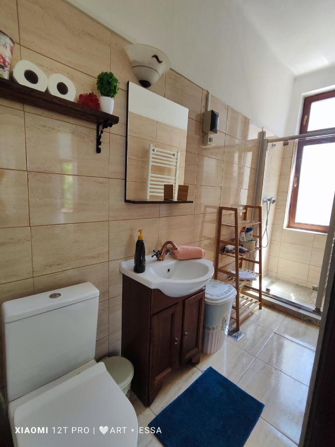 Apartament Buon Gusto,Near Main Square And Liar Bridge,Historical Side Of City Center Sibiu Buitenkant foto