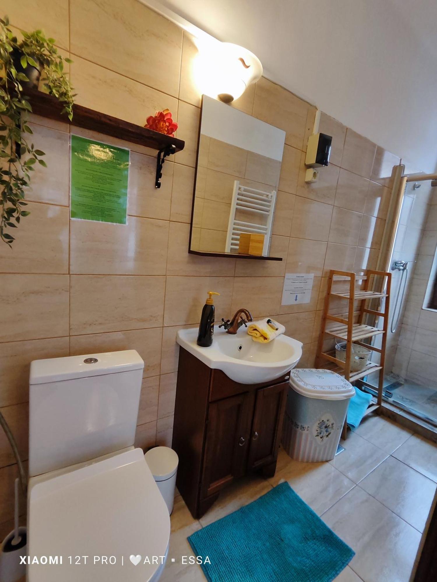 Apartament Buon Gusto,Near Main Square And Liar Bridge,Historical Side Of City Center Sibiu Buitenkant foto